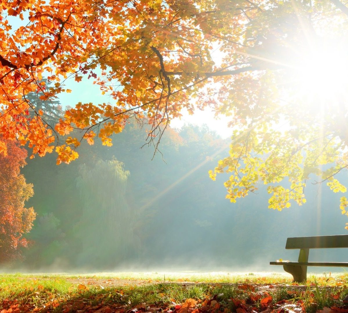 Autumn Breaks UK Autumn Getaways UK Great National Hotels