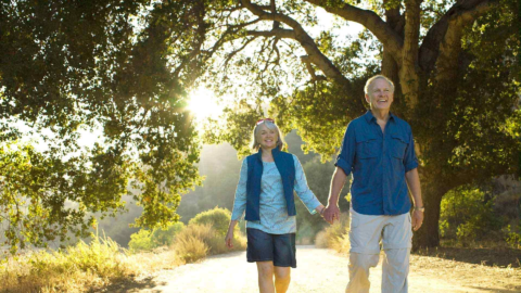 Golden Year Breaks Midlands