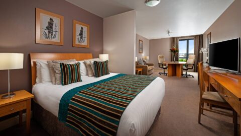 South Court Guestroom