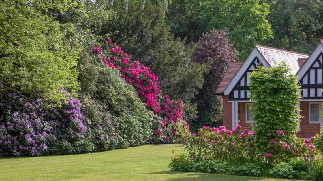 Dower Gardens GNH