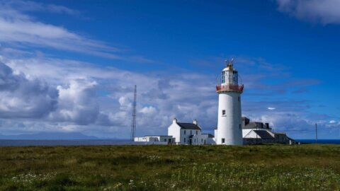 Shannon Springs &ndash; Loop Head