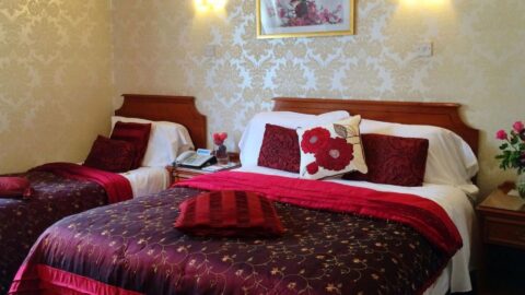 lensfield house fam room