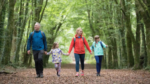 John-O’Sullivan-Park-Ennis-County-Clare